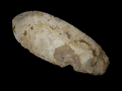 Amazing 11 1/2" Cahokia Flint Spade, Madison Co. Illinois. Motley COA. Amazing form and great 
