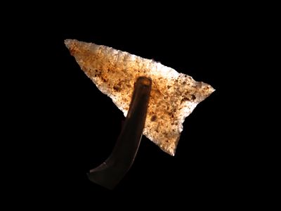 Phenomenal Agate Triangle, Weld Co. Colorado. Highly Translucent Wafer thin and expertly flaked 