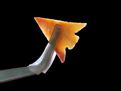 Amazing Columbia Plateau, Oregon. Motley COA. Perfect grade 10 example, very colorful with 