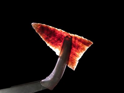 Incredible Agatized / Petrified Wood Triangle found in Weld Co. Colorado. Highly Translucent 