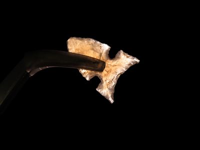 Translucent Agate Northern Sidenotch found in Montana. Great Example!