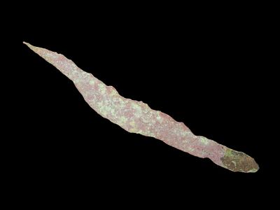 4 3/4" Copper Tang Knife, Vilas Co. Wisconsin. Nice example with great patina!