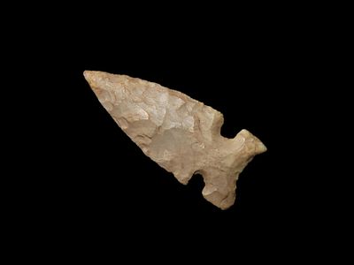 Amazing Cahokia Bird Point, Madison Co. Illinois. Nice Higher Grade example, very thin and well 