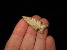 Amazing Cahokia Bird Point, Madison Co. Illinois. Nice Higher Grade example, very thin and well Image - 1