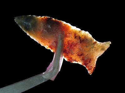 Gorgeous 2 1/8" Greenbriar Dalton, Lincoln Co. Colorado. Motley COA. Highly Translucent Moss 