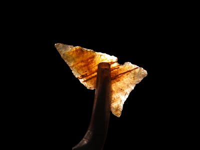 Highly Translucent Knife River or Agatized Petrified Wood Northern Sidenotch found in Montana. 