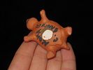 Nice Acoma Southwest Indian Painted Pottery TurtleImage - 2