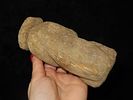 Rare 5 5/8" Hohokam / Anasazi Human Effigy, Southwest US. Motley COA. Nicely detailed piece Image - 3