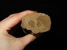 Rare 5 5/8" Hohokam / Anasazi Human Effigy, Southwest US. Motley COA. Nicely detailed piece Image - 7