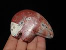 Amazing 3" Zuni Bear Fetish, Very Colorful Red, White & Grey Stone woth nice Polish. Beautiful Image - 2