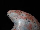 Amazing 3" Zuni Bear Fetish, Very Colorful Red, White & Grey Stone woth nice Polish. Beautiful Image - 4