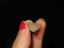 Nice Hixton Quartz Triangle found in Wisconsin. Thin and well flaked, Highly Translucent and Image - 4