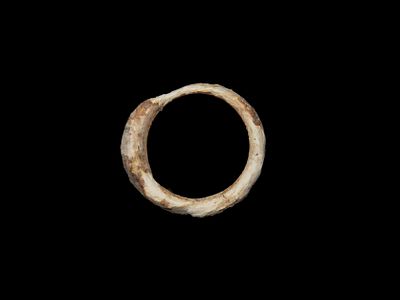 Rare Hohokam/ Mimbres Shell Ring found in Arizona. Great Deposits. Don't see these very often!