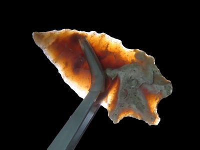 Highly Translucent 2 3/4" Jetta / Uvlade found in Travis County Texas. Indian Arrowhead, Artifact.
