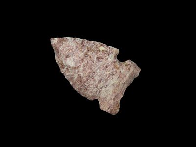 Colorful Fossil Filled Archaic Big Sandy Sidenotch found in Breckenridge County Kentucy. Indian 