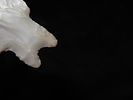 Nice 1 15/16" Gower Split Stem found in Travis County Texas. Semi translucent and well flaked Image - 5