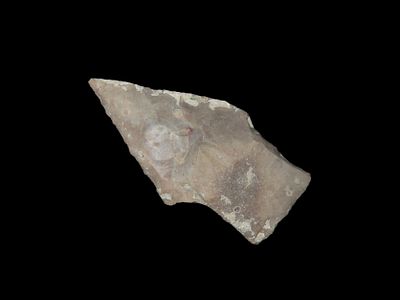 Nice 2 3/8" Nolan found in Travis County Texas, Indian Artifact, Arrowhead.