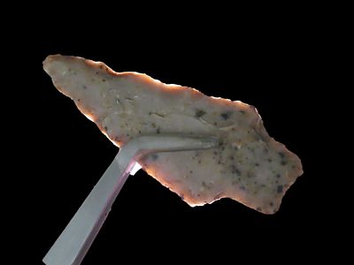 Amazing 2 7/8" Bulverde found in Travis County Texas. Nice Colorful example. Well patinated No 