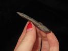 Incredible 2 1/4" Table Rock / Bottleneck found in Posey County Indiana. Beautiful piece of Image - 4