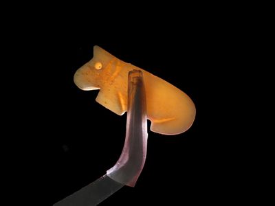 Wolf Effigy Engraved Bone Pendant found in South Dakota, Animal Effigy Bead, Mandan Culture 