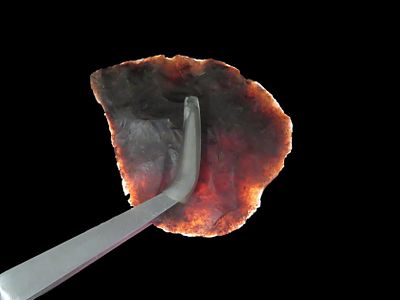 Amazing translucent Covington Blade found in Bandera County Texas. Well flaked example. 2 1/8" 