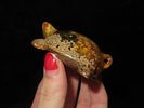 Nice Antique Chinese Hongshan Culture Jade Effigy Pendant, Hand Made Example.Image - 2