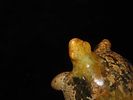 Nice Antique Chinese Hongshan Culture Jade Effigy Pendant, Hand Made Example.Image - 3