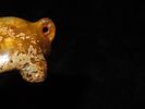 Nice Antique Chinese Hongshan Culture Jade Effigy Pendant, Hand Made Example.Image - 6