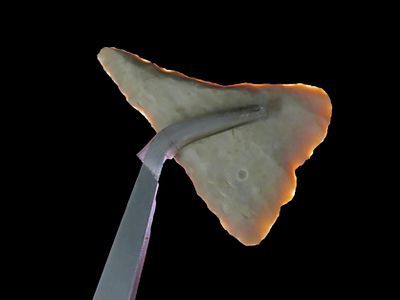 Amazing Friday Blade found in Bandera County Texas. Very thina nd well flaked example with 