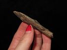 Nice 3" Pickwick found in Marshall County Kentucky. Great well flaked example with great patina!Image - 2