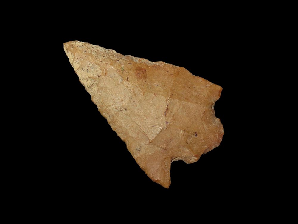 Nice Pickwick found in Stewart County Tennessee. Indian Arrowhead, Artifact.