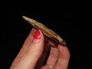 Nice Pickwick found in Stewart County Tennessee. Indian Arrowhead, Artifact.Image - 2