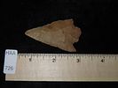 Nice Pickwick found in Stewart County Tennessee. Indian Arrowhead, Artifact.Image - 5