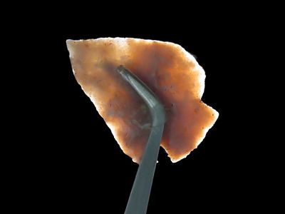 Highly Translucent Marshall found in Bandera County Texas. Indian Arrowhead, Artifact.