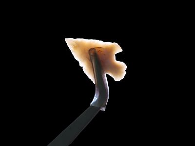 Outstanding Bird Point found in New Mexico. Thin & well flaked example with great patina