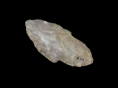 2 3/4" Turkeytail found in Breckenridge County kentucky. Nice classic example. Turkey Tail. 