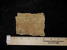 Rare Egyptian Portion of Wall Carving Decoration of a Pharaoh. Neat Piece!Image - 5