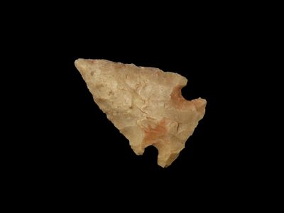 Nice Texas Bird Point found in Travis Counbty. Indian Arrowhead, Artifact.