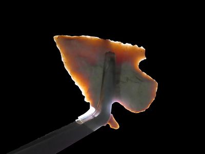 Wonderful rare Shumla found in New Mexico. Hard to find point type! Nicely Serrated, thin and 