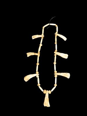 Nice Buffalo Tooth & Bone Bead Necklace, Historic Plains Indian Beaded Jewelry