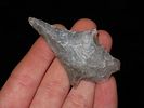 Nice Translucent Comanche Perd found in Bandera County Texas. Nicely patinated example! Indian Image - 2
