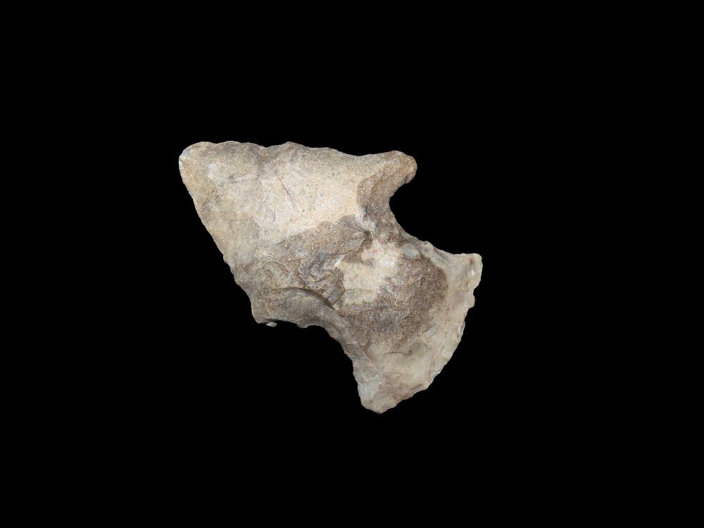 Nice Hopewell Snyders found in Berrien County Michigan. Well patianted pieceof Bayport Chert. 