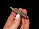 Nice Hopewell Snyders found in Berrien County Michigan. Well patianted pieceof Bayport Chert. Image - 2