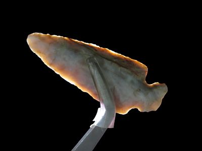 Colorful Flint Ridge Bird Point / Mini Button Base Dove found in Wayne County Ohio. Indian 