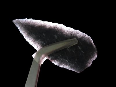 Amazing Obsidian Leaf Blade found in lake County Oregon. Very thin and well flaked with great 