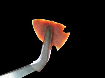 Incredible Flint Ridge Corner Notch Bird Point found in Delaware County Ohio. Indian Arrowhead 