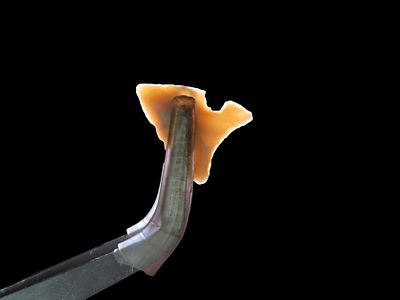 Fine Side notch Bird point found in New Mexico. Indian Arrowhead, Artifact.