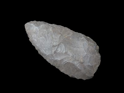 Amazing 2 7/8" Cobbs Blade found in Trigg County Kentucky. Very thin & Well flaked example. 