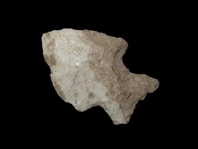 Colorful Hopewell Snyders found in Branch County Michigan. Indian Arrowhead, Artifact.