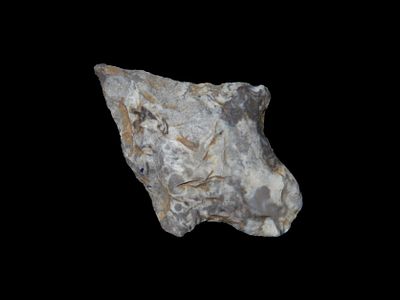 Colorful Oklahoma Adena / Gary. Great Color! Indian Arrowhead, Artifact.